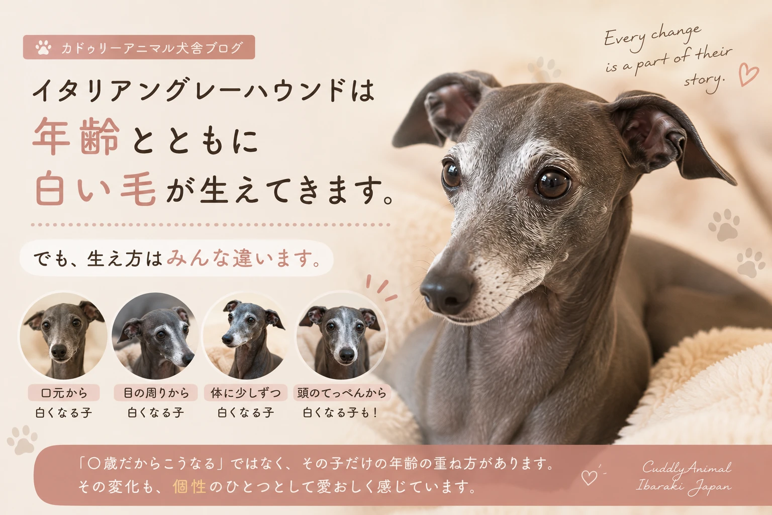 ビンテージ 真鍮の犬 イングリッシュグレーハウンド ビンテージ 真鍮の犬 イングリッシュグレーハウンド ビンテージ