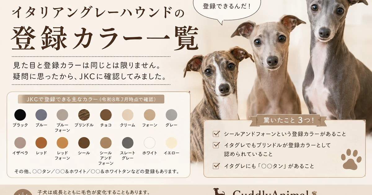JKCで登録できるイタリアングレーハウンドの毛色一覧｜実際に