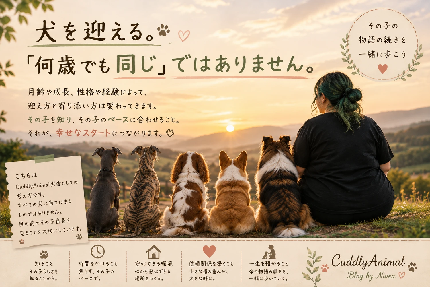 ブログ