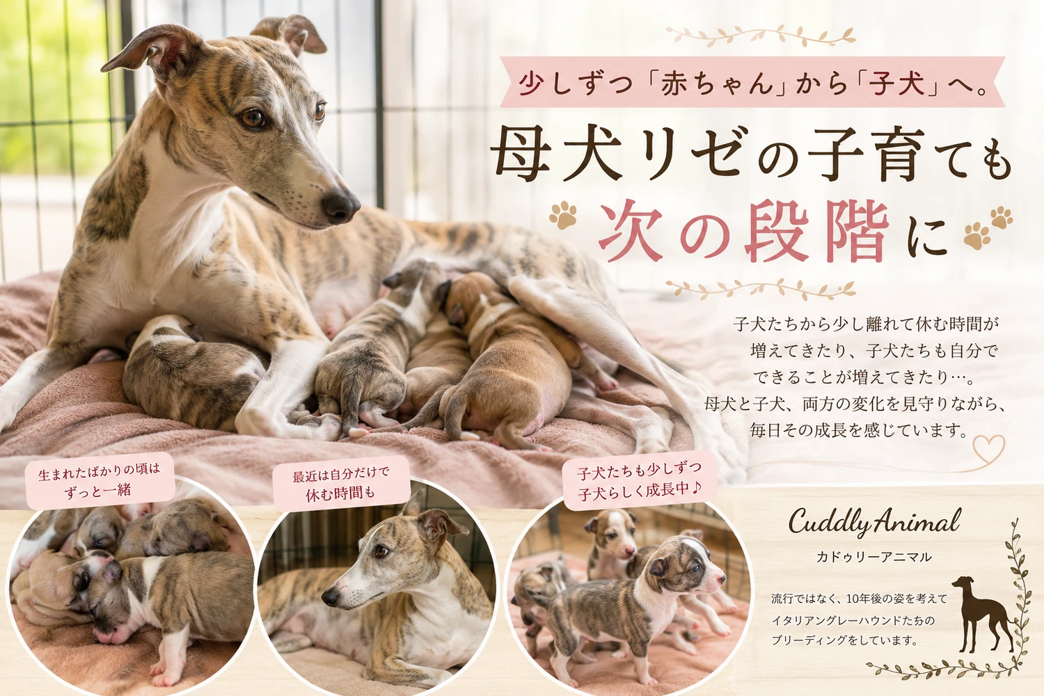 ブログ