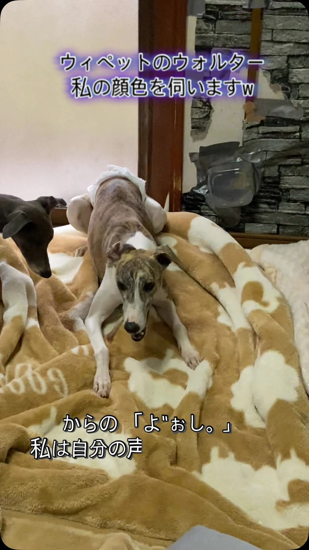 ブログ