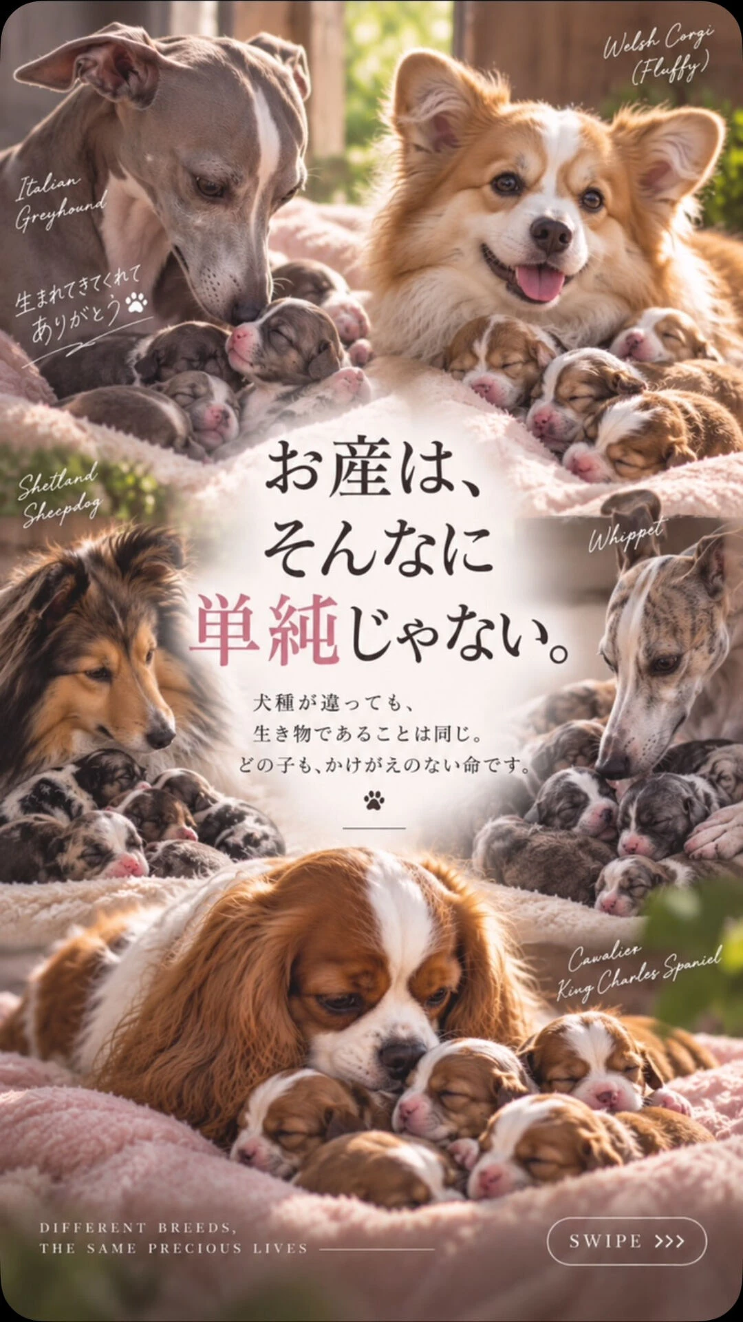 ブログ