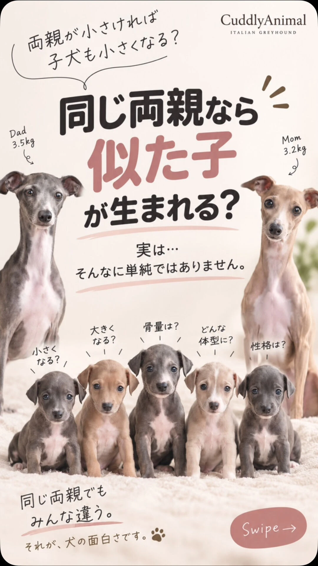 ブログ