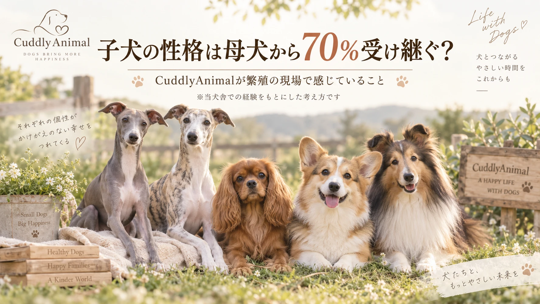 ブログ