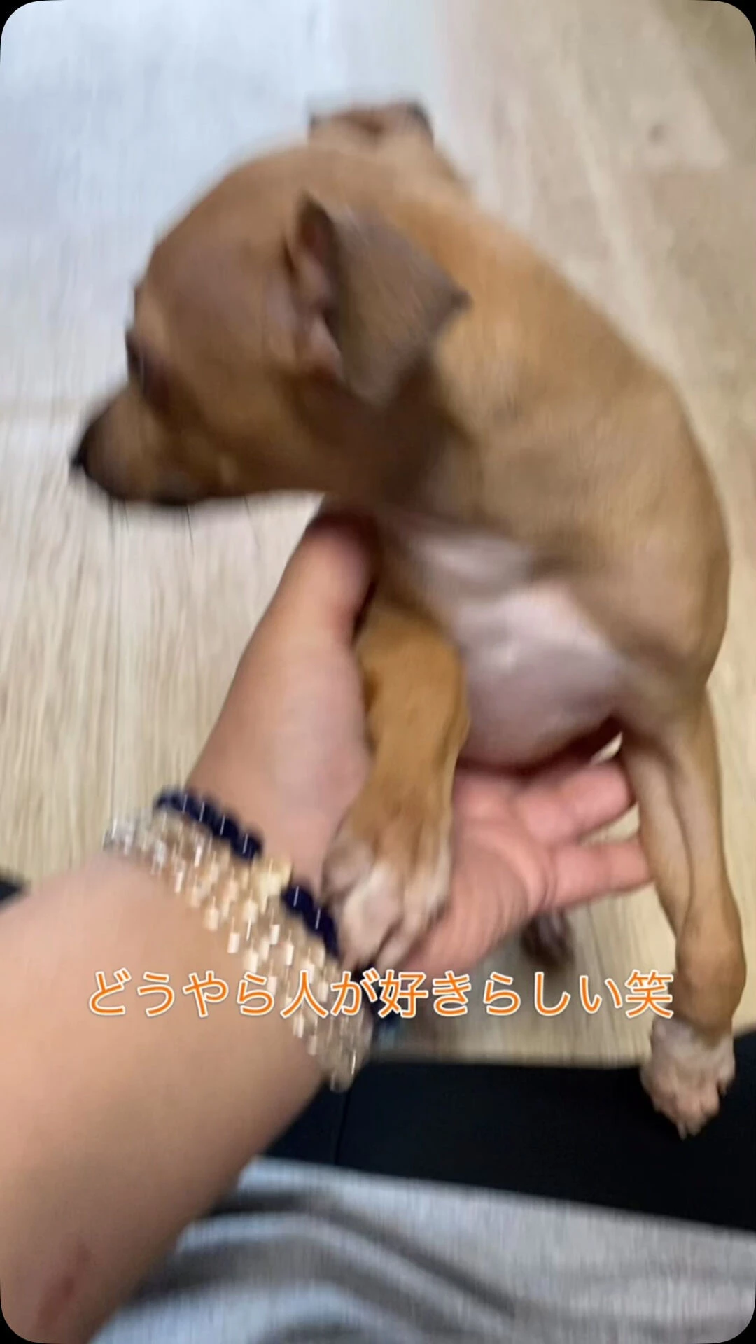 ブログ