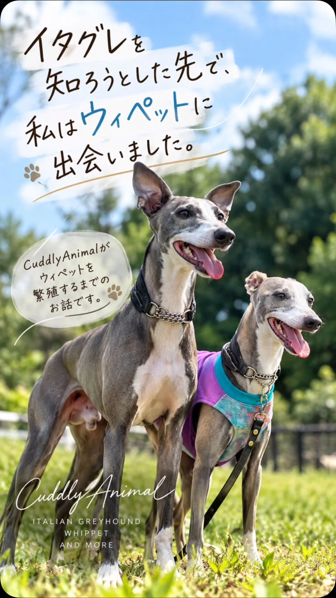 ブログ