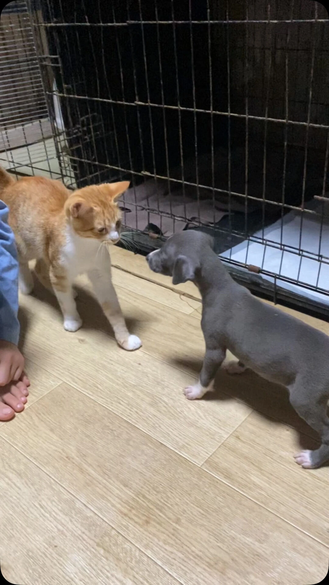 ブログ