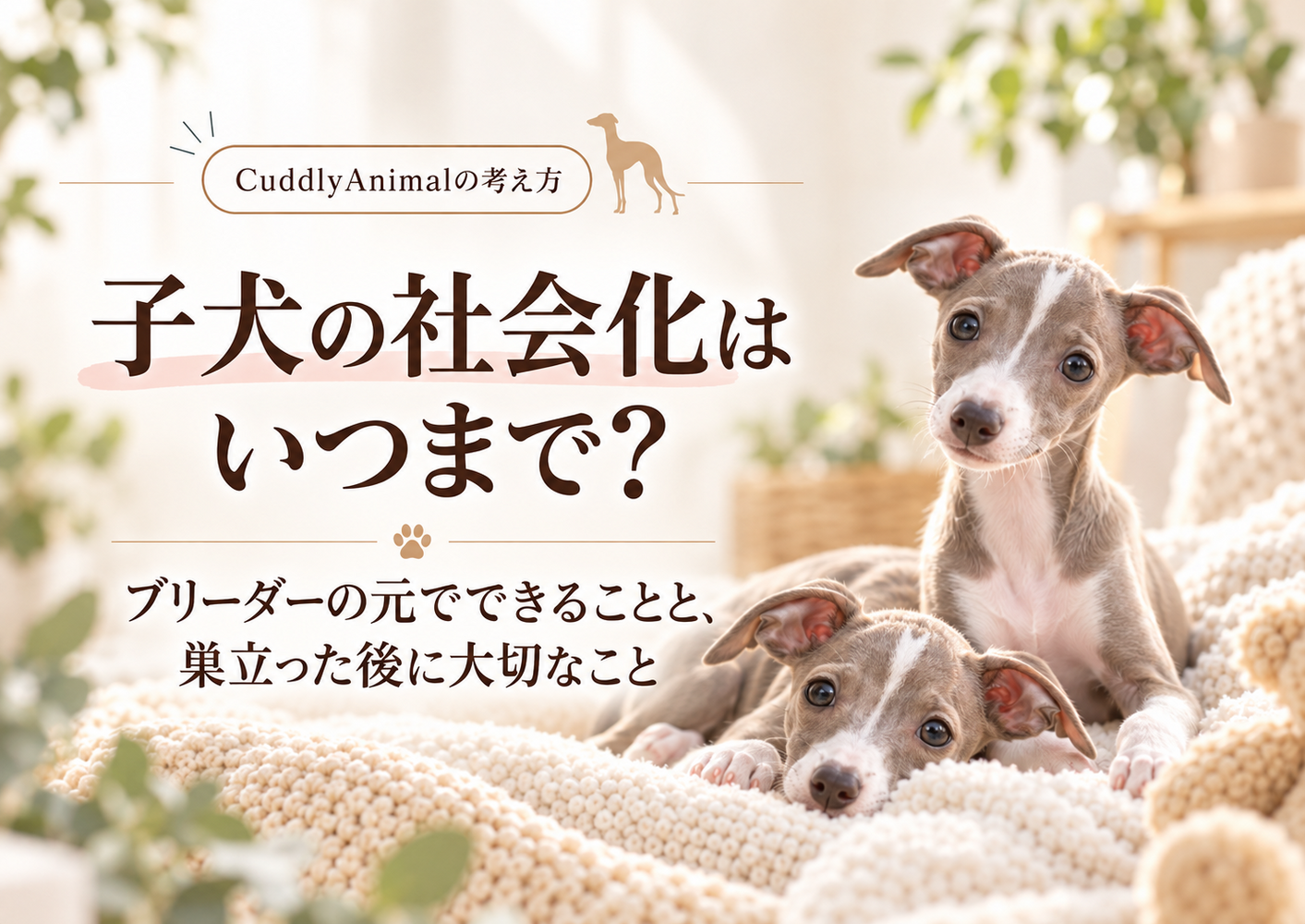ブログ