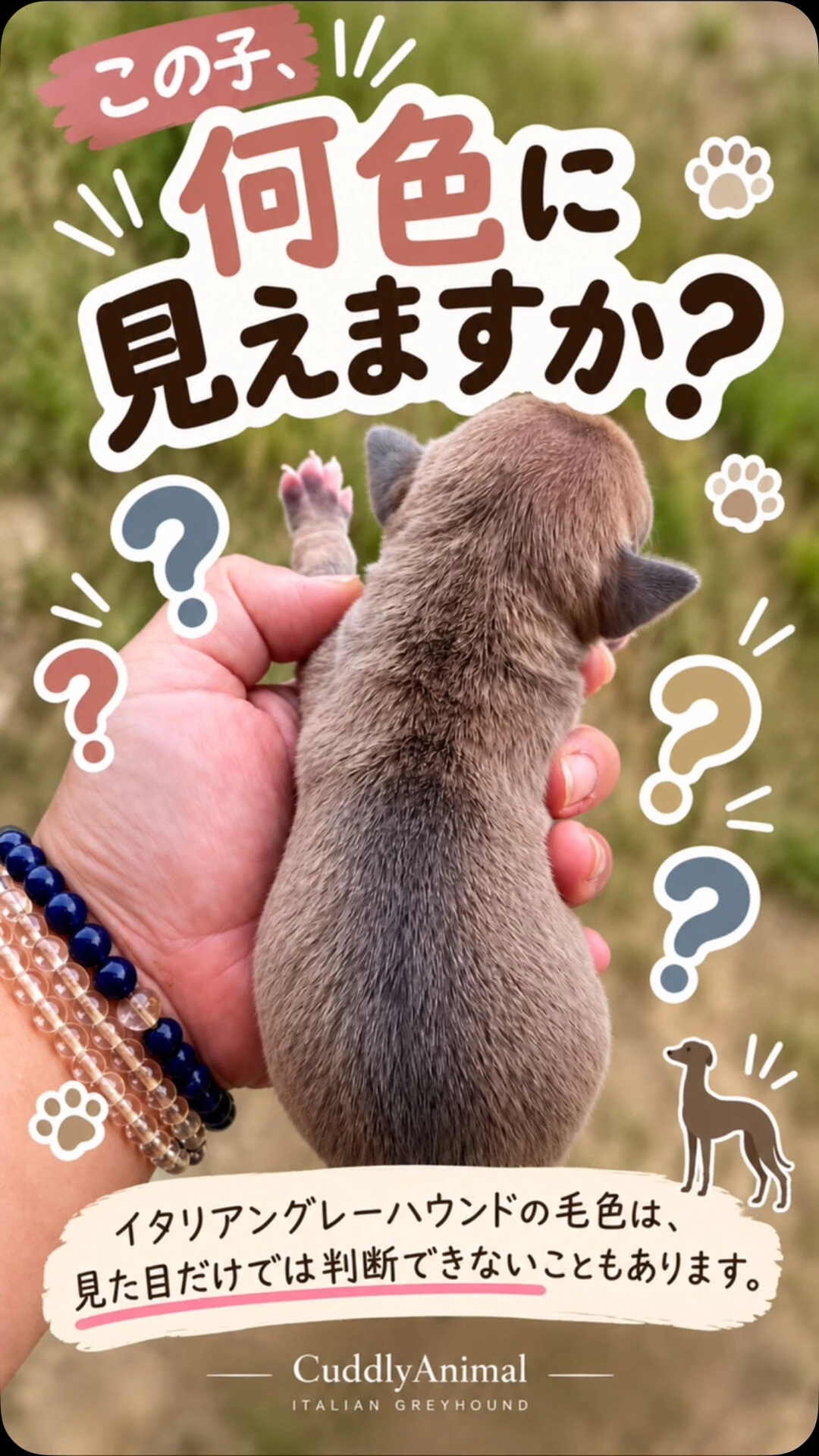 ブログ