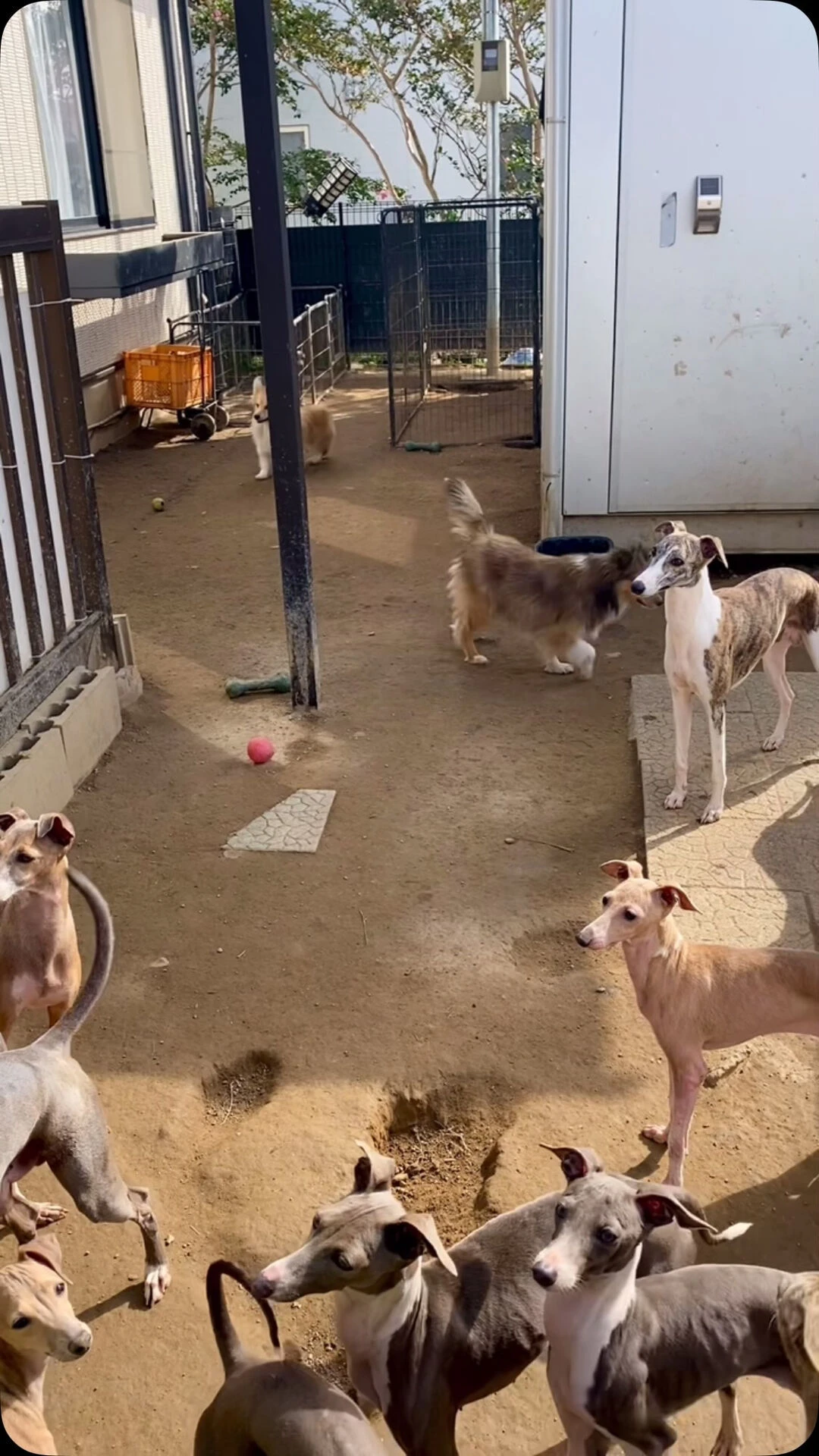 ブログ