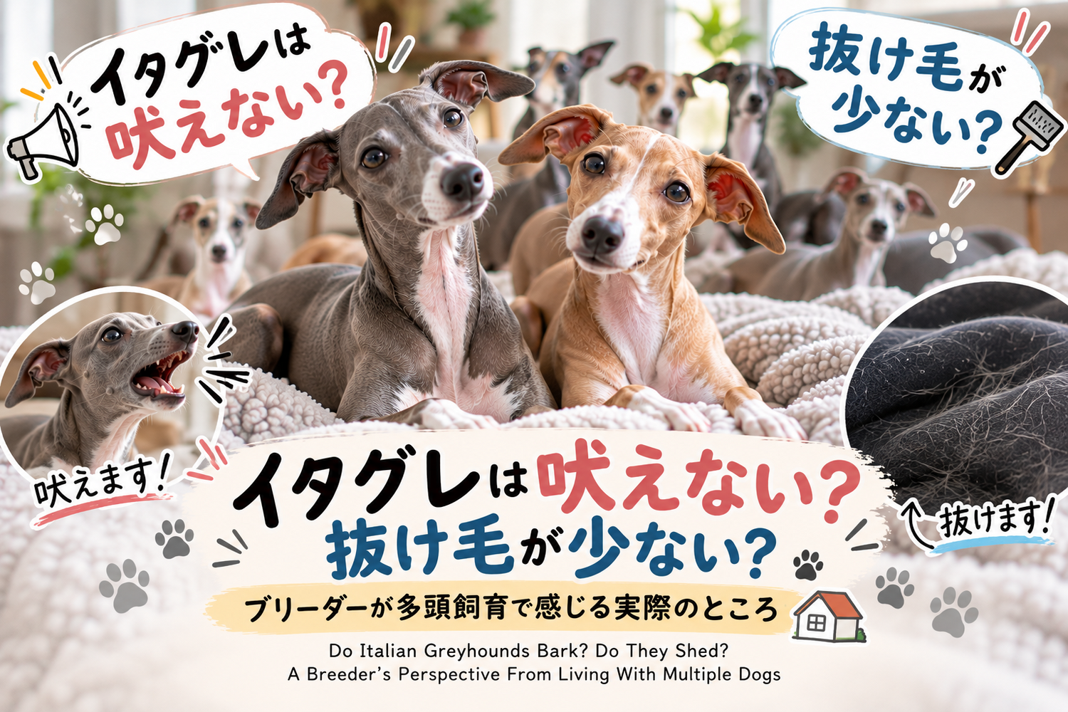 ブログ