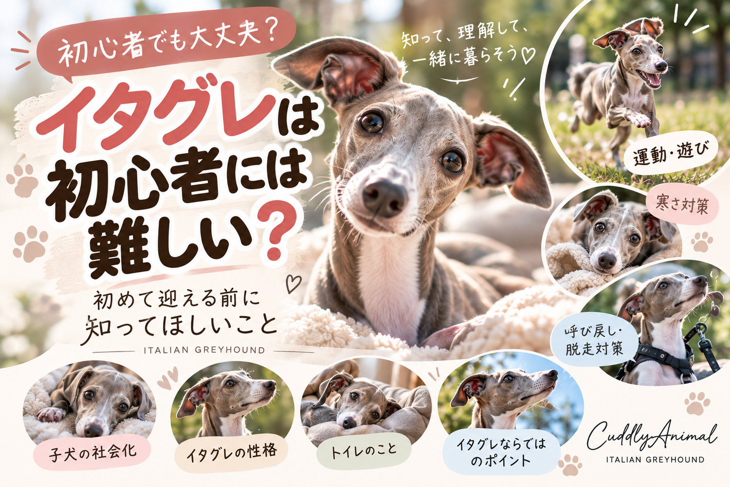 ブログ