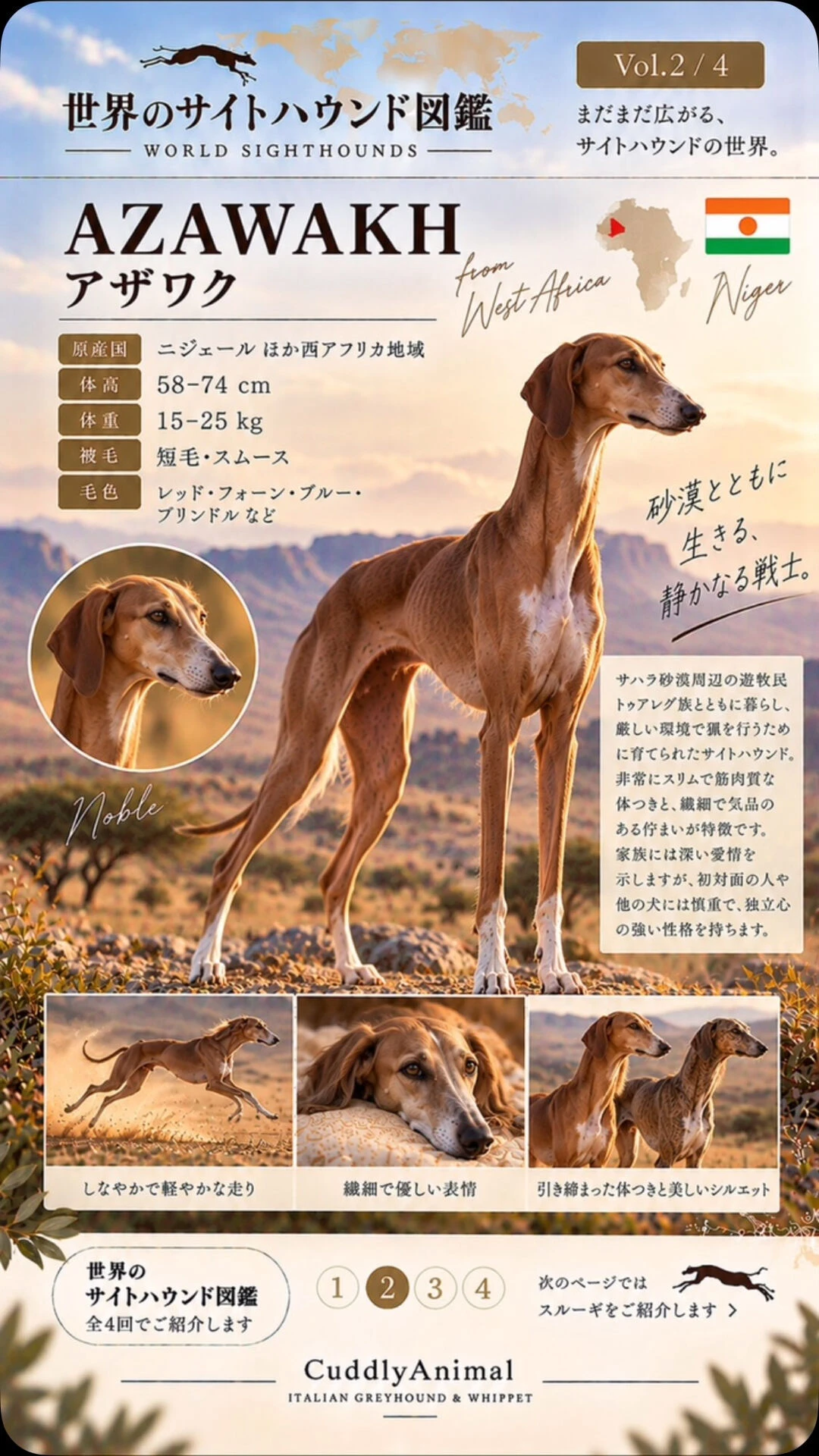 ブログ