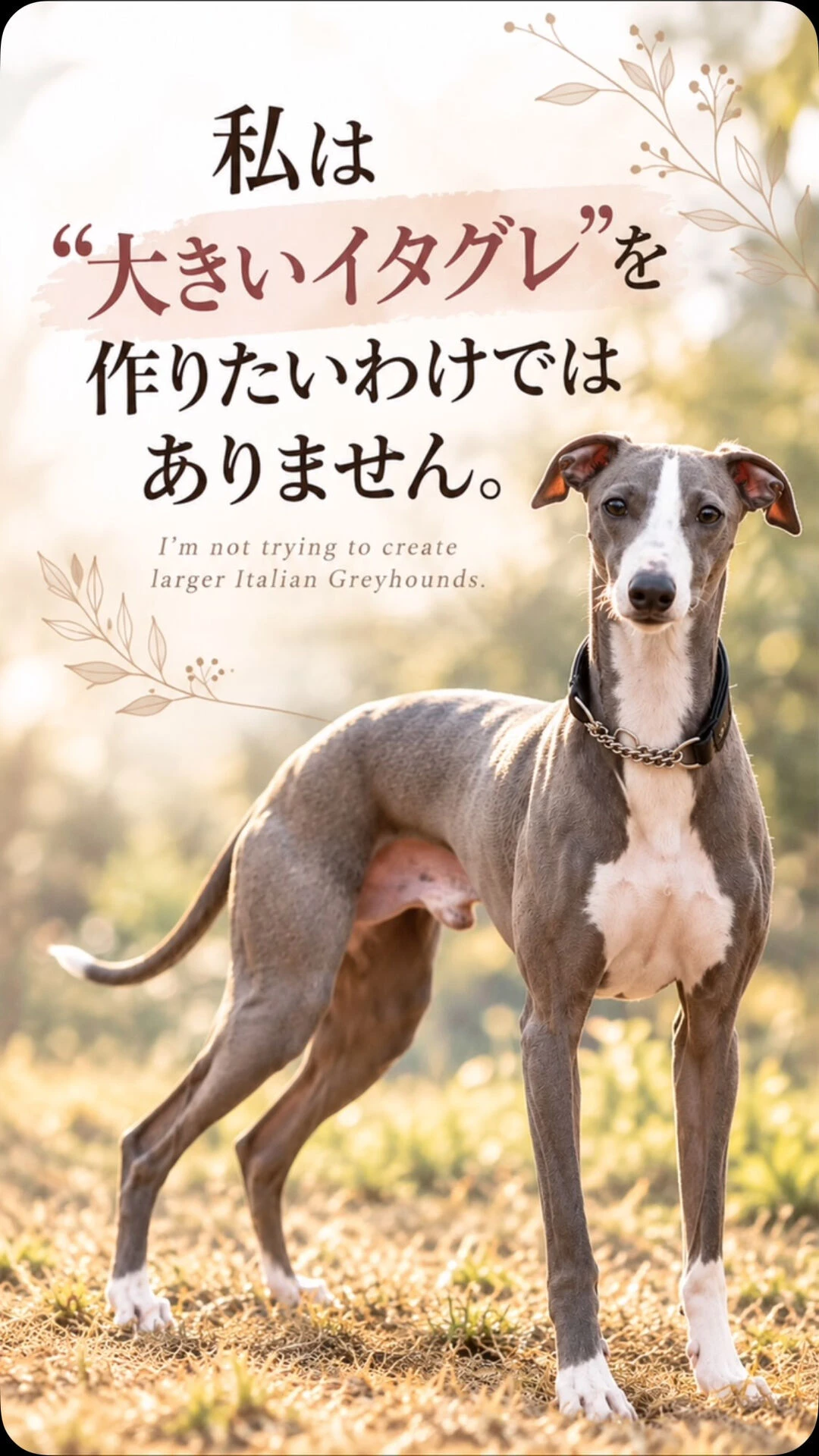 ブログ