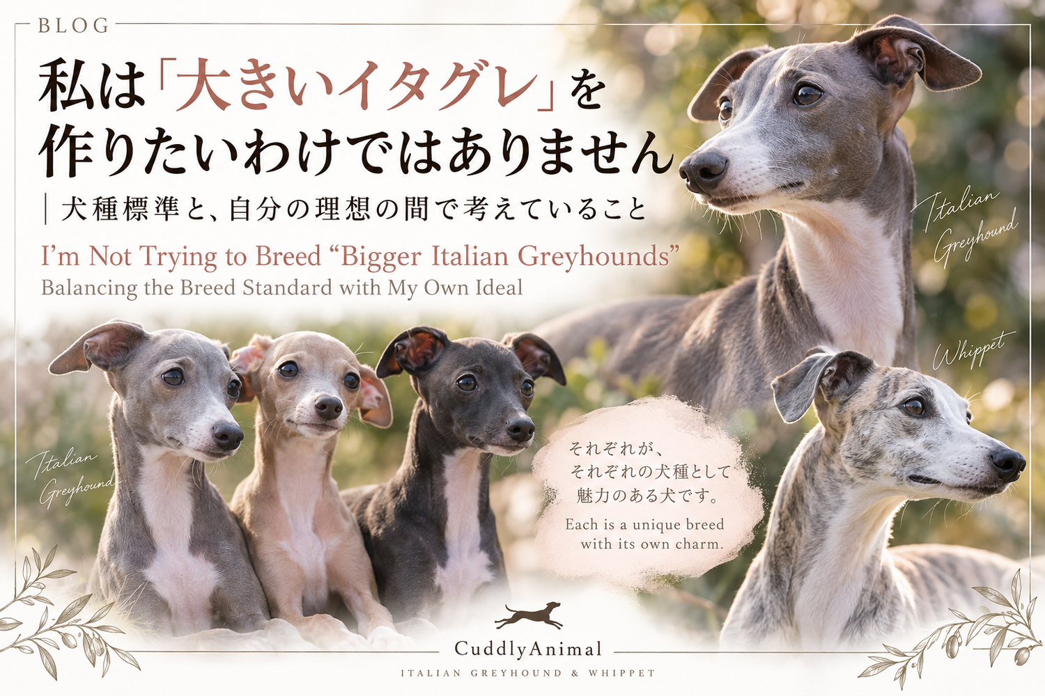ブログ