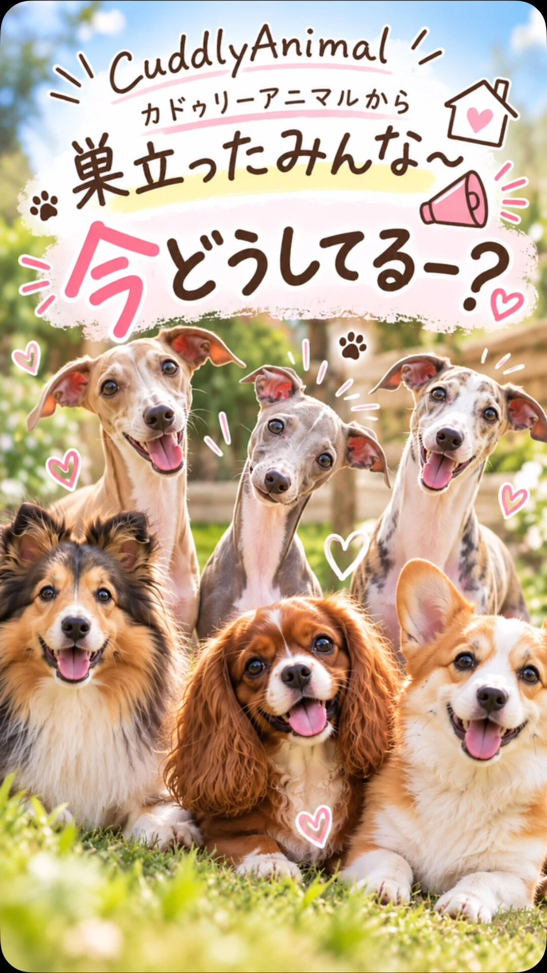 ブログ