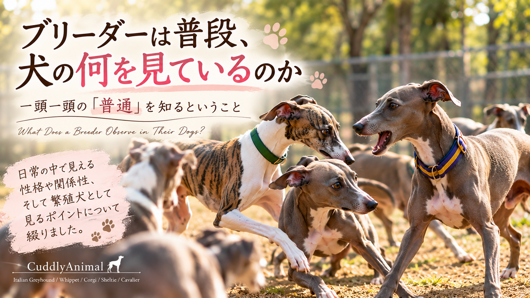 ブログ